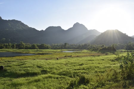 Gal Oya nationalpark