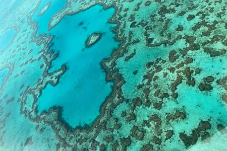 466097882_1232404084522569_9014458317818528905_n