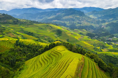 View of a rice terrace field in Vietnam