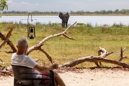 Elefant vid Kwara Camp