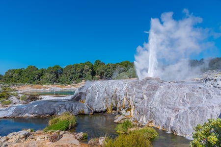 Se gejsere og geotermisk aktivitet i Rotorua