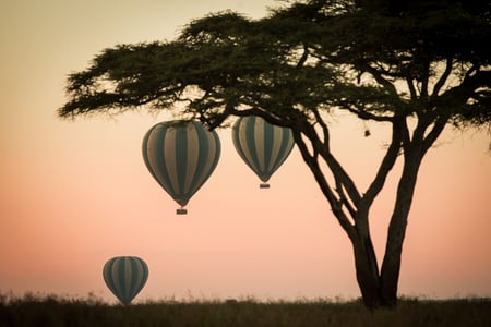 Luftballongsafari i Serengeti, Tanzania