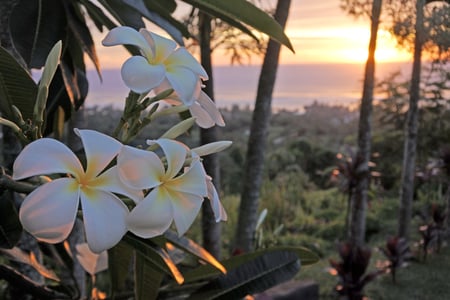 Vacker solnedgång på Rarotonga