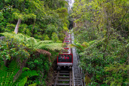 Blue Mountains National Park