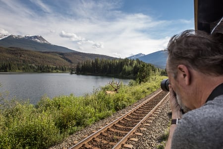 Upplev djur på nära håll, Rocky Mountains