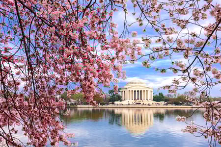 Forår i Washington D.C.