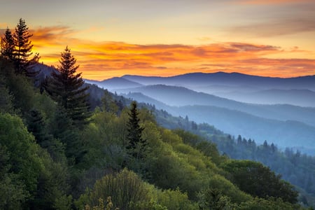 Den populära nationalparken, Great Smoky Mountains