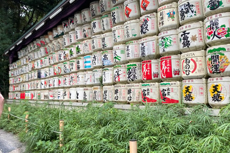 Se de mange sake-tønder i Yoyogi parken