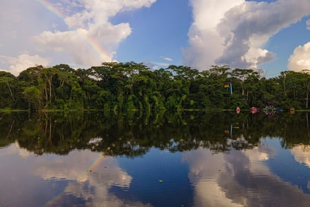Endless waterways in the Amazon