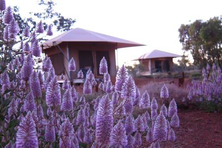 Karijini Eco Retreat