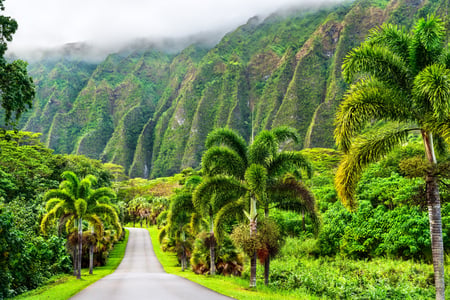 Ho‘omaluhia Botanical Garden på Oahu
