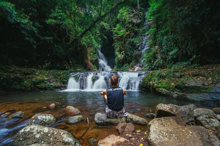 Vandring i Lamington National Park