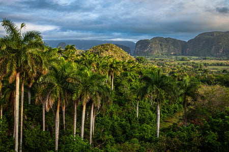 The lush valley of Vinales