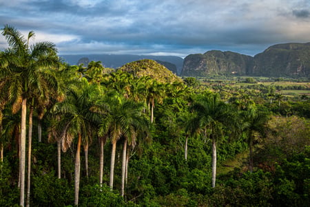 The lush valley of Vinales