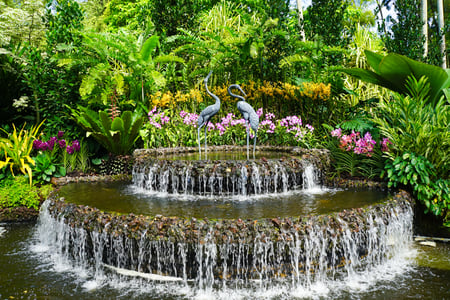 Singapore Botanic Gardens