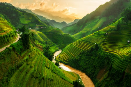 Risterasser i Sapa