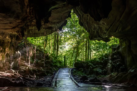 Grotte i Mulu National Park