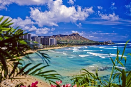 Waikiki Beach, Oahu, Hawaii, USA