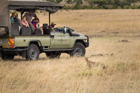Basecamp Masai Mara