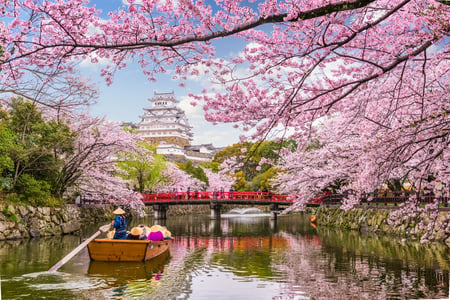 Himeji med slottet i bakgrunden