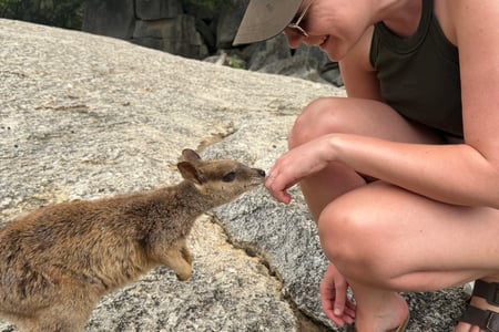 Meet Australia's iconic wildlife 