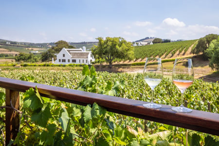 Vinprovning i Stellenbosch, Sydafrika