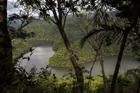Forest river in Belize