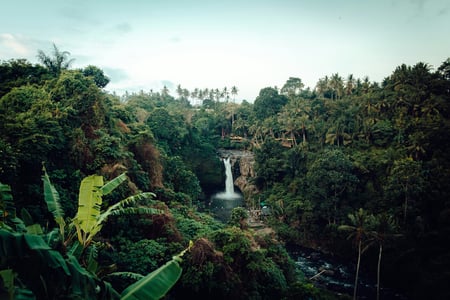 Waterfall in the Amazon rainforest