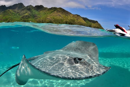Prøv snorkling og dykning i verdensklasse