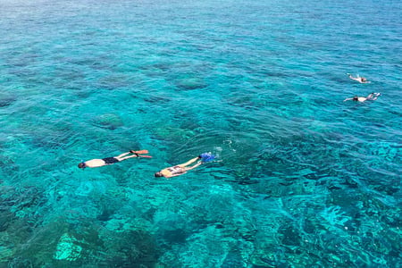 Snorkeling in the Maldives