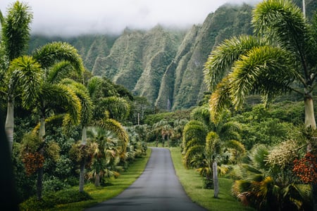 Unieke natuur op Hawaii