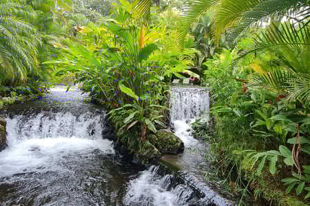 Varme kilder i La Fortuna