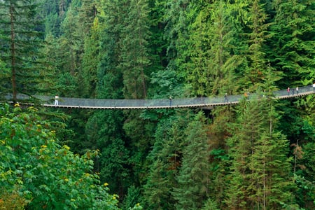 Capilano Suspension Bridge in Vancouver