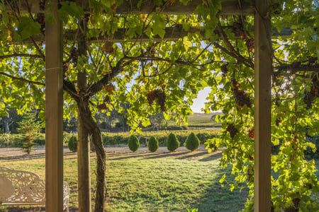 Barossa Shiraz Estate