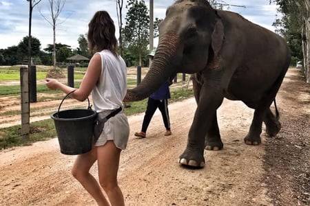 Elephant & Wildlife Rescue Center