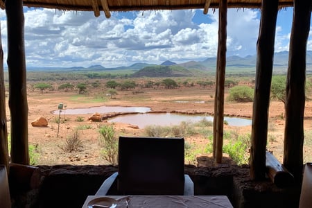 Udsigt til vandhul og dyreliv i Tsavo Vest