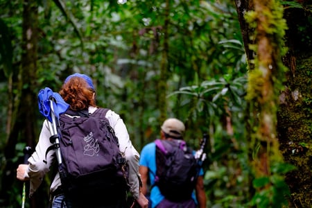 Hiking in Tamandua 