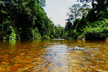 Kinchin River