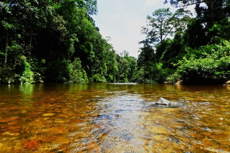 Kinchin River