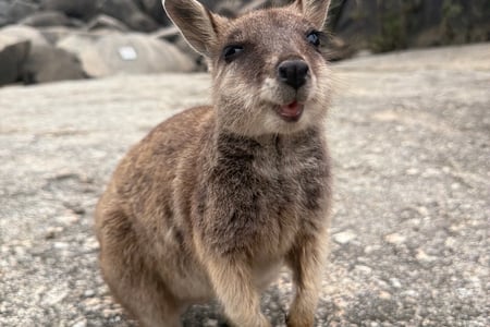 Wildlife encounters along the way