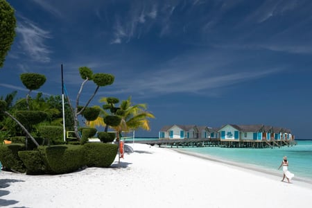Stranden på Cora Cora Maldives