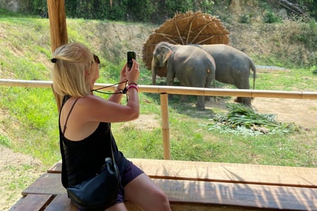 Besøg et elefant sanctuary