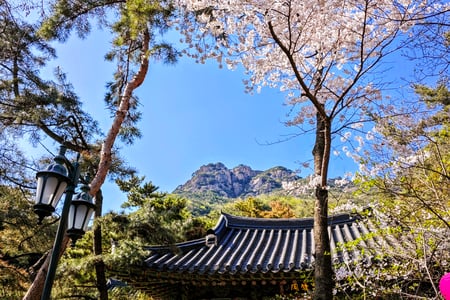 Temples hidden among the mountains