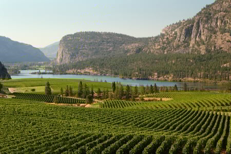 Okanagan Valley med vinmarker i British Columbia