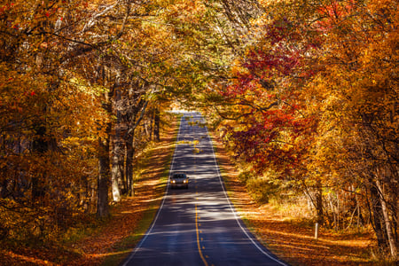 Shenandoah National Park