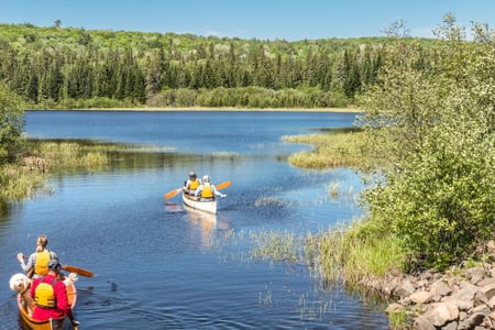 Whitefish Lake i Algonquin Park, Ontario Canada