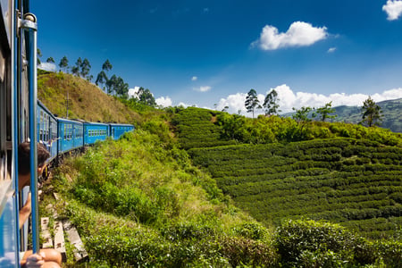Enjoy the scenic train rides in Sri Lanka