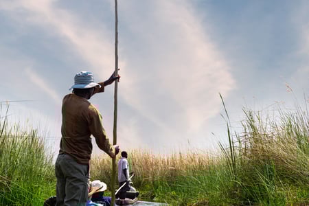 Mokoro tur i Okavango delta, Botswana