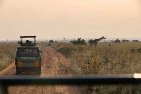 Safariajelu Masai Maran kansallispuistossa