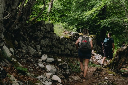 Hiking in the forests of Albania
